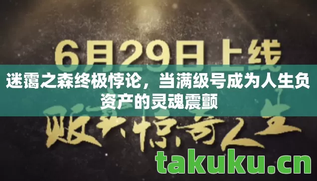 当满级号成为人生负资产的灵魂震颤图片