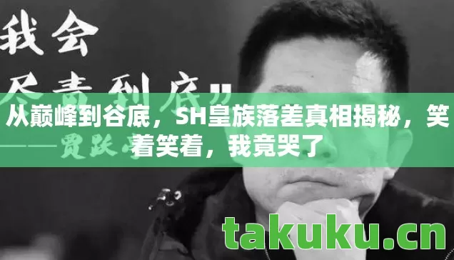 SH皇族落差真相揭秘图片