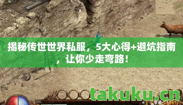 揭秘传世世界私服,5大心得+避坑指南,让你少走弯路! 揭秘传世世界私服,5大心得+避坑指南,让你少走弯路!