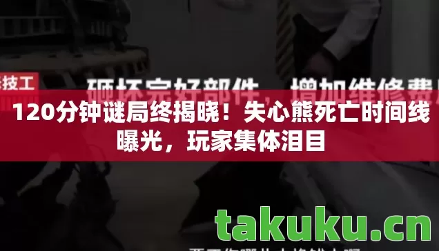 120分钟谜局终揭晓图片