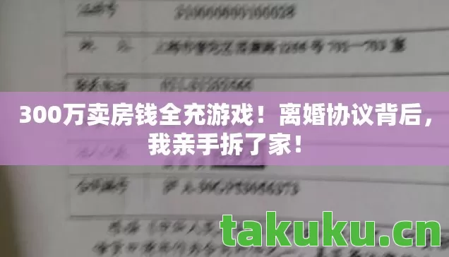 300万卖房钱全充游戏图片