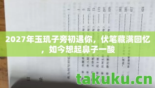 2027年玉玑子旁初遇你，伏笔藏满回忆，如今想起鼻子一酸