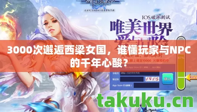 谁懂玩家与NPC的千年心酸图片