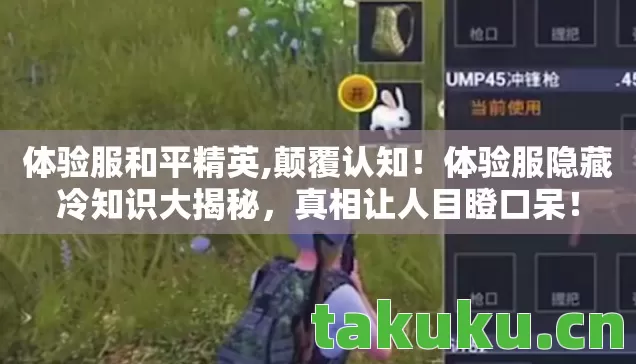 体验服和平精英,颠覆认知!体验服隐藏冷知识大揭秘,真相让人目瞪口呆! 体验服和平精英,颠覆认知!体验服隐藏冷知识大揭秘,真相让人目瞪口呆!