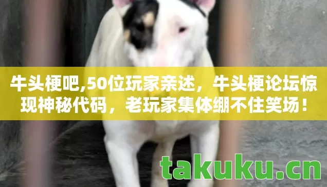 牛头梗吧,50位玩家亲述,牛头梗论坛惊现神秘代码,老玩家集体绷不住笑场! 牛头梗吧,50位玩家亲述,牛头梗论坛惊现神秘代码,老玩家集体绷不住笑场!