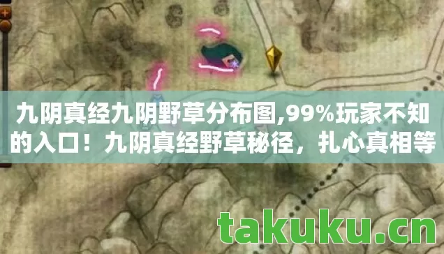 九阴真经九阴野草分布图,99%玩家不知的入口!九阴真经野草秘径,扎心真相等你探! 九阴真经九阴野草分布图,99%玩家不知的入口!九阴真经野草秘径,扎心真相等你探!