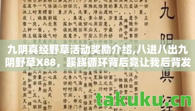 九阴真经野草活动奖励介绍,八进八出九阴野草X88,蹊跷循环背后竟让我后背发凉! 九阴真经野草活动奖励介绍,八进八出九阴野草X88,蹊跷循环背后竟让我后背发凉!