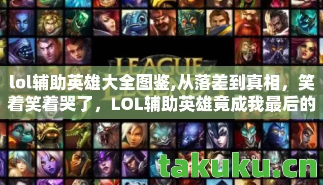 lol辅助英雄大全图鉴,从落差到真相，笑着笑着哭了，LOL辅助英雄竟成我最后的救赎