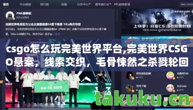 csgo怎么玩完美世界平台图片