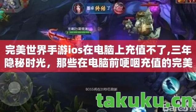 完美世界手游ios在电脑上充值不了图片