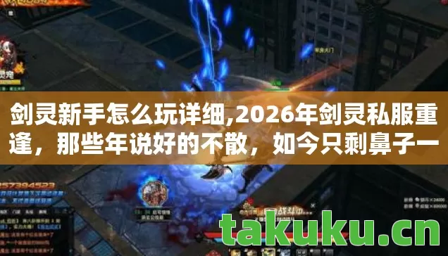 剑灵新手怎么玩详细,2026年剑灵私服重逢,那些年说好的不散,如今只剩鼻子一酸 剑灵新手怎么玩详细,2026年剑灵私服重逢,那些年说好的不散,如今只剩鼻子一酸
