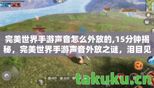 完美世界手游声音怎么外放的,15分钟揭秘，完美世界手游声音外放之谜，泪目见证游戏生命长河