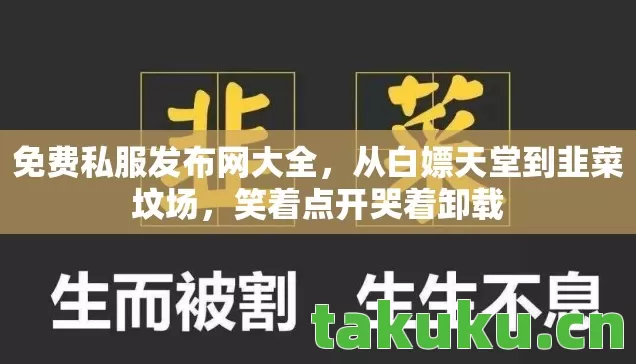 免费私服发布网大全,从白嫖天堂到韭菜坟场,笑着点开哭着卸载 免费私服发布网大全,从白嫖天堂到韭菜坟场,笑着点开哭着卸载