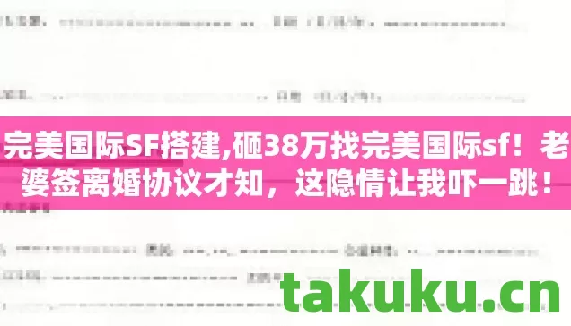 砸38万找完美国际sf图片