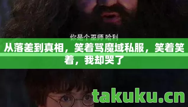 从落差到真相,笑着骂魔域私服,笑着笑着,我却哭了 从落差到真相,笑着骂魔域私服,笑着笑着,我却哭了