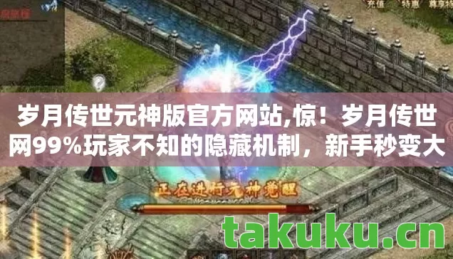 岁月传世元神版官方网站图片