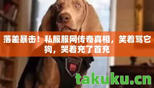 落差暴击!私服服网传奇真相,笑着骂它狗,哭着充了首充 落差暴击!私服服网传奇真相,笑着骂它狗,哭着充了首充