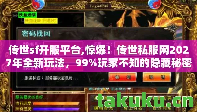 传世私服网2027年全新玩法图片