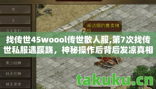 找传世45woool传世散人服图片