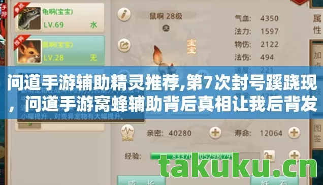 问道手游辅助精灵推荐,第7次封号蹊跷现,问道手游窝蜂辅助背后真相让我后背发凉 问道手游辅助精灵推荐,第7次封号蹊跷现,问道手游窝蜂辅助背后真相让我后背发凉