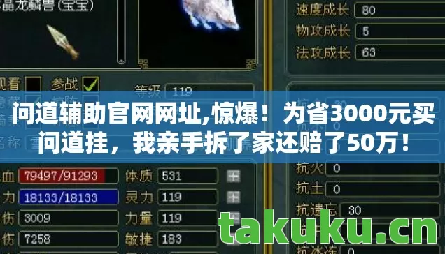 问道辅助官网网址,惊爆！为省3000元买问道挂，我亲手拆了家还赔了50万！