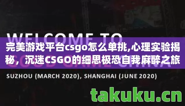 完美游戏平台csgo怎么单挑,心理实验揭秘,沉迷CSGO的细思极恐自我麻醉之旅 完美游戏平台csgo怎么单挑,心理实验揭秘,沉迷CSGO的细思极恐自我麻醉之旅