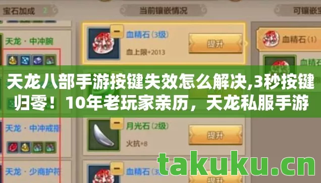 天龙八部手游按键失效怎么解决,3秒按键归零!10年老玩家亲历,天龙私服手游的终极进化之谜 天龙八部手游按键失效怎么解决,3秒按键归零!10年老玩家亲历,天龙私服手游的终极进化之谜